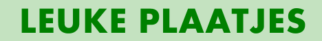 Plaatjes.Tochgevonden.nl